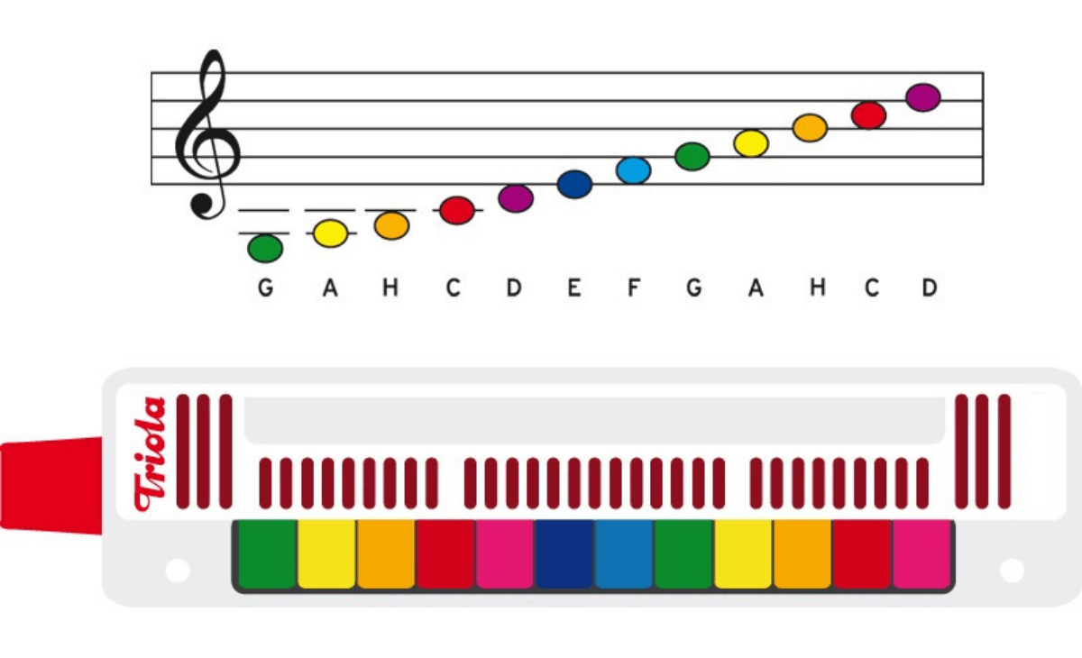 Triola Noten passen zu farbigen Tasten - MusikGlück